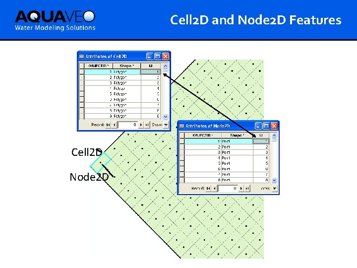 Cell 2 D and Node 2 D Features Cell 2 D Node 2 D