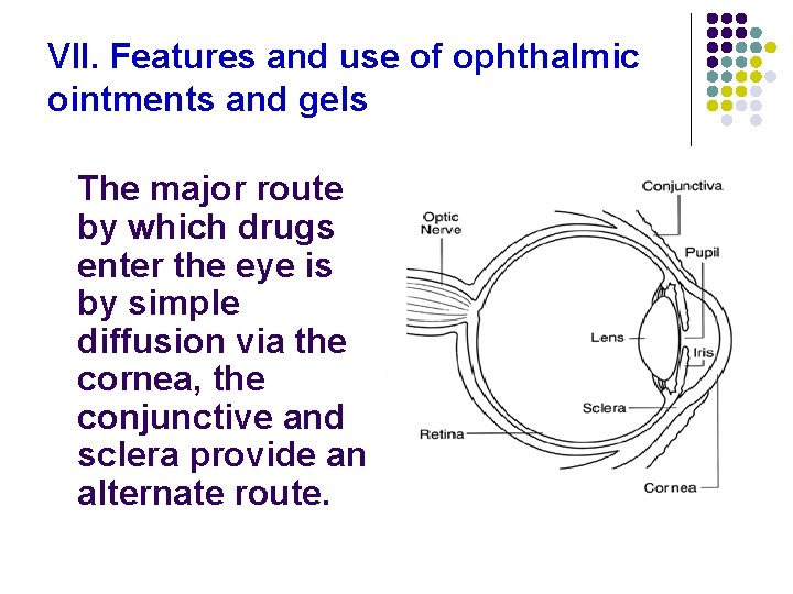 VII. Features and use of ophthalmic ointments and gels The major route by which