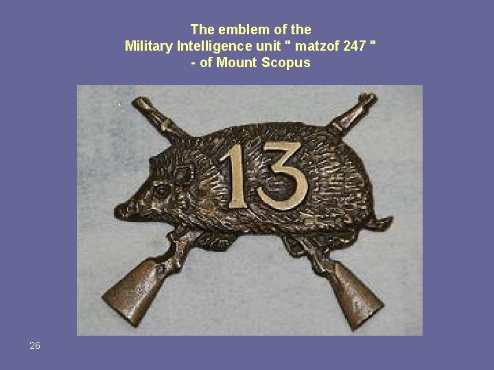 The emblem of the Military Intelligence unit " matzof 247 " - of Mount