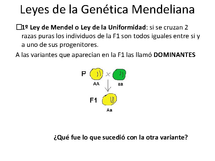 Leyes de la Genética Mendeliana � 1º Ley de Mendel o Ley de la Leyes de la Genética Mendeliana � 1º Ley de Mendel o Ley de la