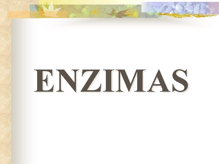 ENZIMAS 