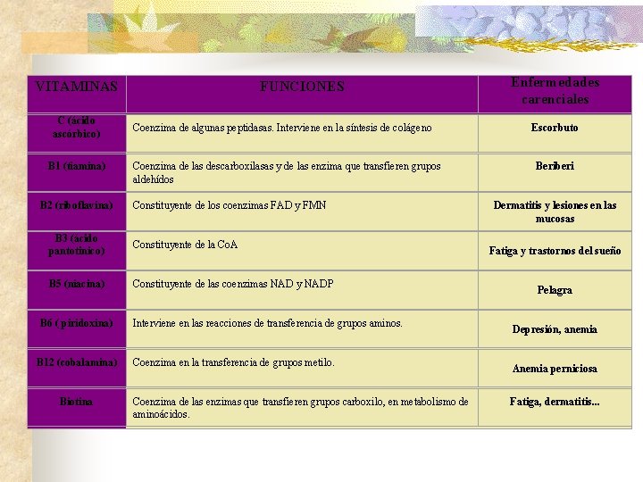 VITAMINAS C (ácido ascórbico) B 1 (tiamina) B 2 (riboflavina) FUNCIONES Coenzima de algunas