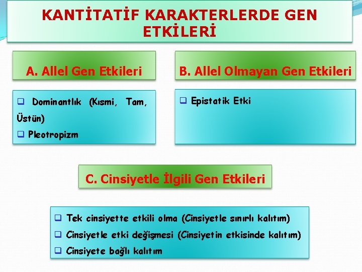 KANTİTATİF KARAKTERLERDE GEN ETKİLERİ A. Allel Gen Etkileri q Dominantlık (Kısmi, Tam, B. Allel