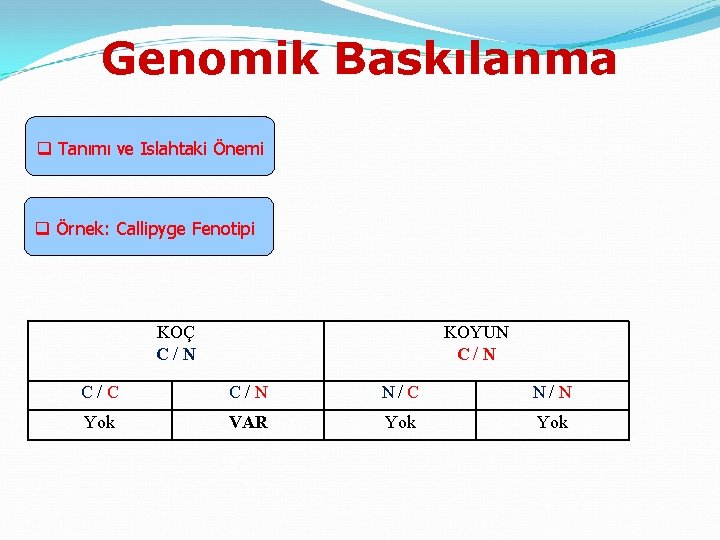 Genomik Baskılanma q Tanımı ve Islahtaki Önemi q Örnek: Callipyge Fenotipi KOÇ C/N KOYUN