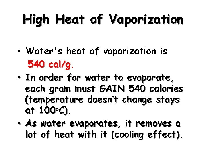 High Heat of Vaporization • Water's heat of vaporization is 540 cal/g. • In
