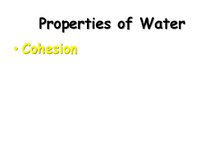 Properties of Water • Cohesion 