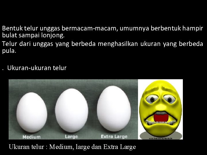 Bentuk telur unggas bermacam-macam, umumnya berbentuk hampir bulat sampai lonjong. Telur dari unggas yang