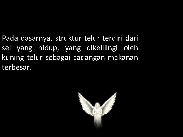 Pada dasarnya, struktur telur terdiri dari sel yang hidup, yang dikelilingi oleh kuning telur