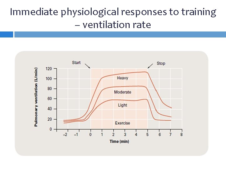 Immediate physiological responses to training – ventilation rate 