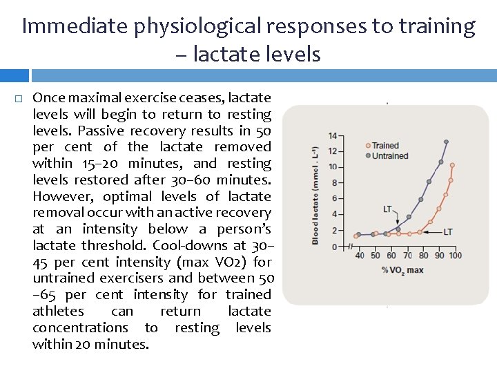 Immediate physiological responses to training – lactate levels Once maximal exercise ceases, lactate levels