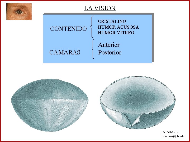 LA VISION CONTENIDO CAMARAS CRISTALINO HUMOR ACUSOSA HUMOR VITREO Anterior Posterior Dr M Monzo
