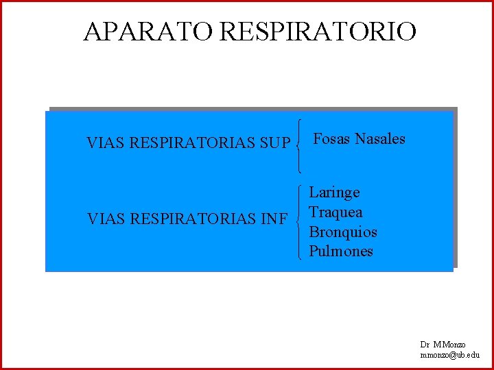 APARATO RESPIRATORIO VIAS RESPIRATORIAS SUP Fosas Nasales VIAS RESPIRATORIAS INF Laringe Traquea Bronquios Pulmones