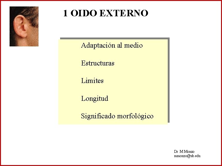 1 OIDO EXTERNO Adaptación al medio Estructuras Limites Longitud Significado morfológico Dr M Monzo