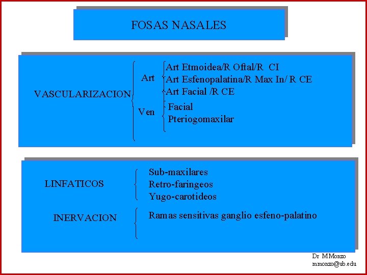 FOSAS NASALES Art Etmoidea/R Oftal/R CI Art Esfenopalatina/R Max In/ R CE Art Facial