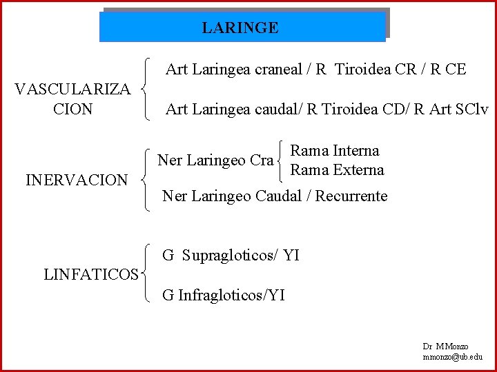 LARINGE Art Laringea craneal / R Tiroidea CR / R CE VASCULARIZA CION INERVACION