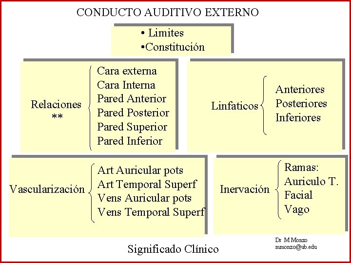 CONDUCTO AUDITIVO EXTERNO • Limites • Constitución Relaciones ** Vascularización Cara externa Cara Interna