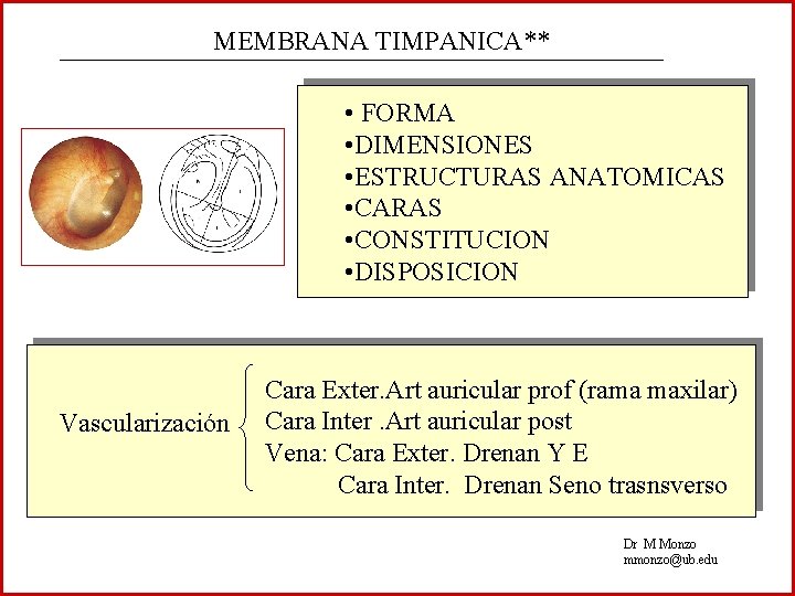 MEMBRANA TIMPANICA** • FORMA • DIMENSIONES • ESTRUCTURAS ANATOMICAS • CARAS • CONSTITUCION •