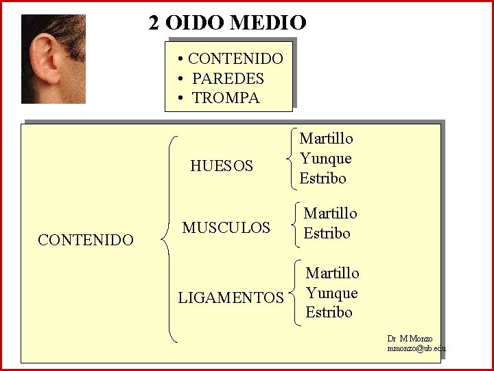 2 OIDO MEDIO • CONTENIDO • PAREDES • TROMPA CONTENIDO HUESOS Martillo Yunque Estribo