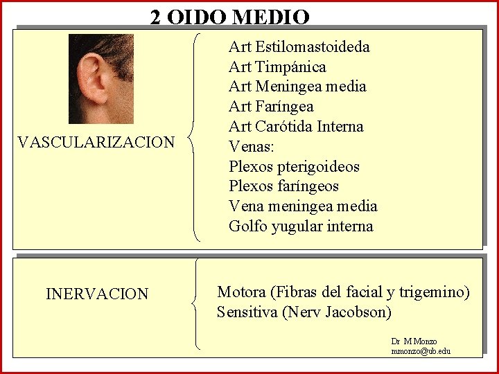 2 OIDO MEDIO VASCULARIZACION INERVACION Art Estilomastoideda Art Timpánica Art Meningea media Art Faríngea