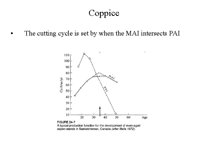 Coppice • The cutting cycle is set by when the MAI intersects PAI 