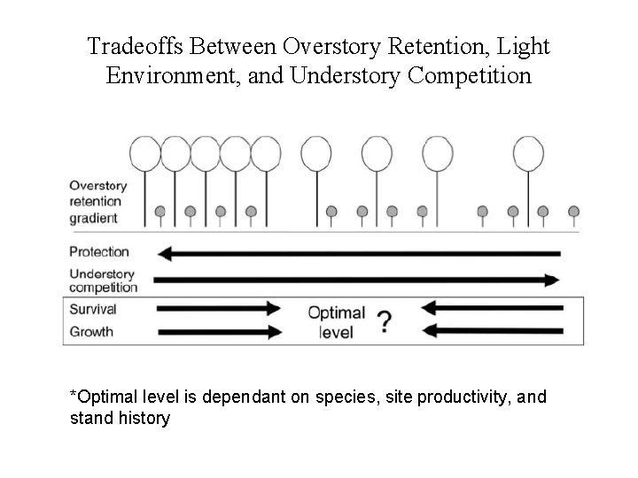 Tradeoffs Between Overstory Retention, Light Environment, and Understory Competition *Optimal level is dependant on