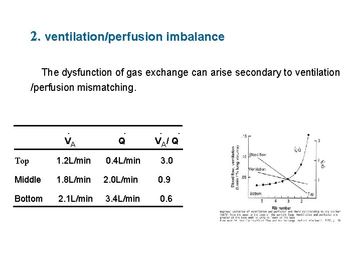 2. ventilation/perfusion imbalance The dysfunction of gas exchange can arise secondary to ventilation /perfusion