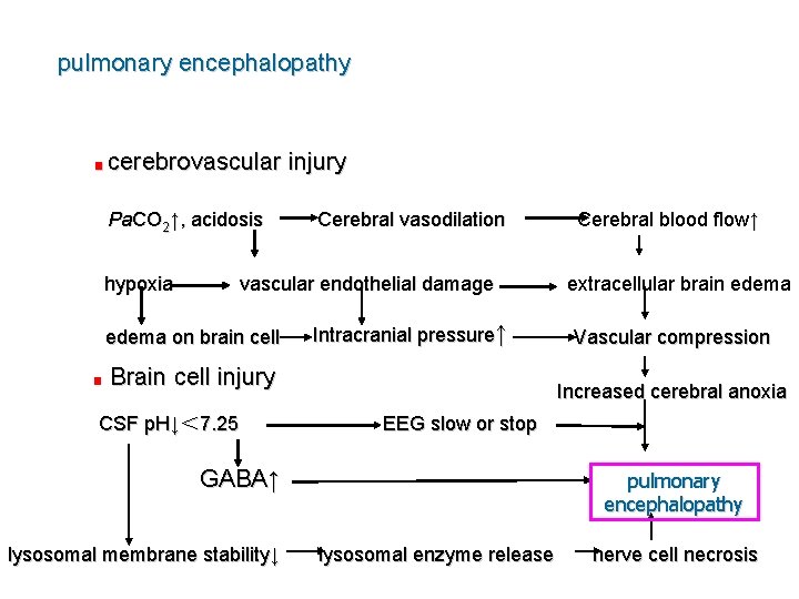 pulmonary encephalopathy ■ cerebrovascular Pa. CO 2↑, acidosis hypoxia Cerebral vasodilation vascular endothelial damage