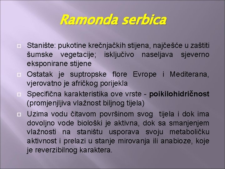 Ramonda serbica Stanište: pukotine krečnjačkih stijena, najčešće u zaštiti šumske vegetacije; isključivo naseljava sjeverno