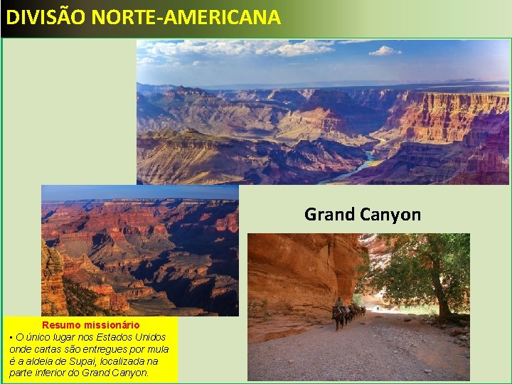 DIVISÃO NORTE-AMERICANA Grand Canyon Resumo missionário • O único lugar nos Estados Unidos onde