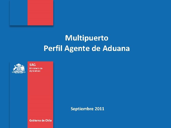 Multipuerto Perfil Agente de Aduana Subtitulo de la presentación en una línea Septiembre 2011