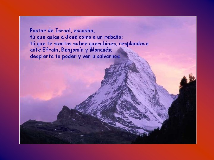 Pastor de Israel, escucha, tú que guías a José como a un rebaño; tú