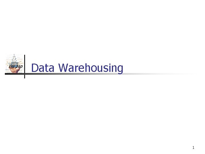 IST 210 Data Warehousing 1 