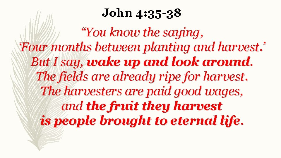 John 4: 35 -38 “You know the saying, ‘Four months between planting and harvest.