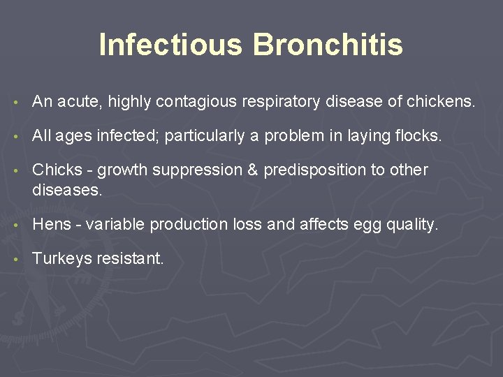 Infectious Bronchitis • An acute, highly contagious respiratory disease of chickens. • All ages