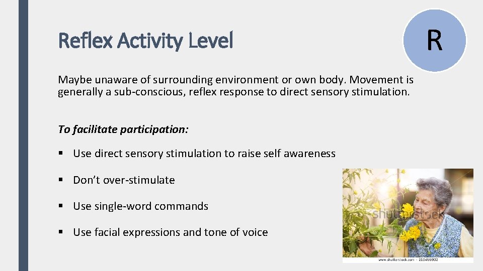 Reflex Activity Level Maybe unaware of surrounding environment or own body. Movement is generally