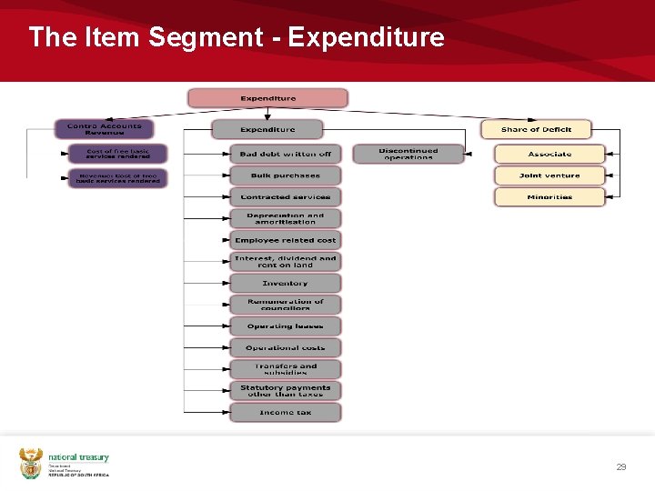 The Item Segment - Expenditure 29 