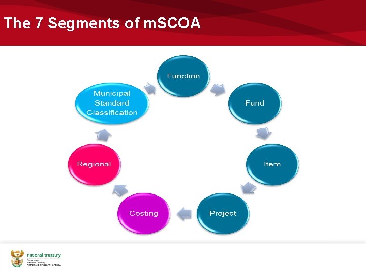 The 7 Segments of m. SCOA 