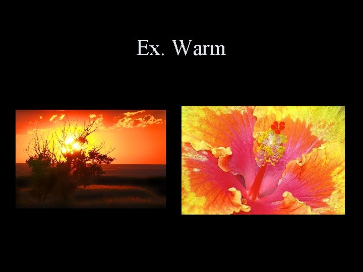 Ex. Warm 