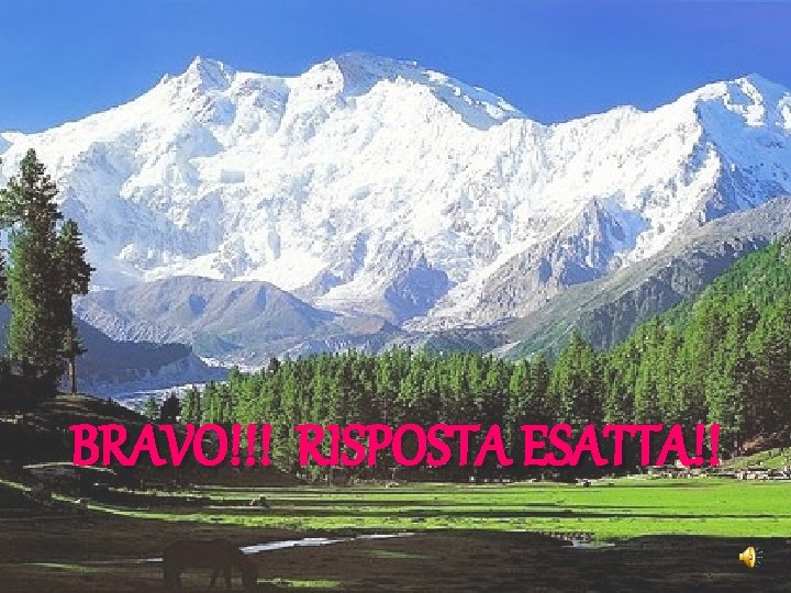 BRAVO!!! RISPOSTA ESATTA!! 