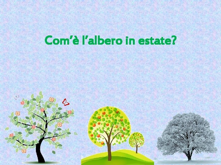 Com’è l’albero in estate? 