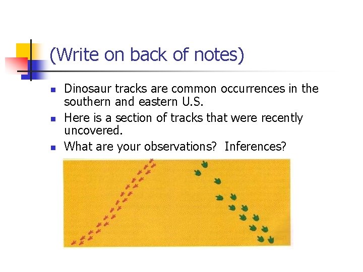 (Write on back of notes) n n n Dinosaur tracks are common occurrences in