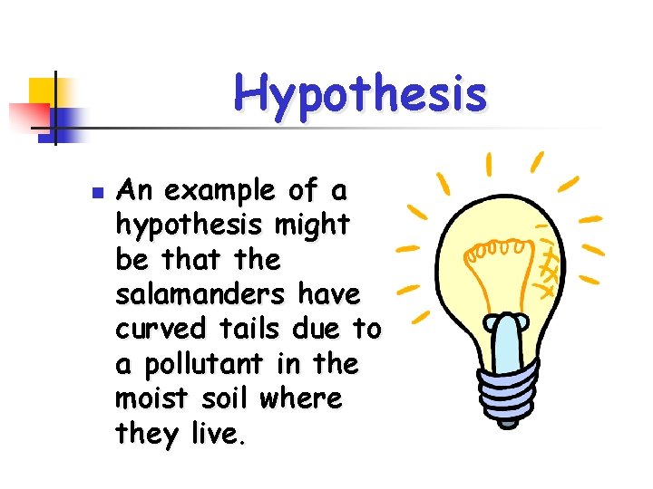 Hypothesis n An example of a hypothesis might be that the salamanders have curved