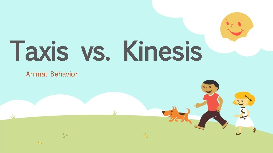 Taxis vs. Kinesis Animal Behavior 