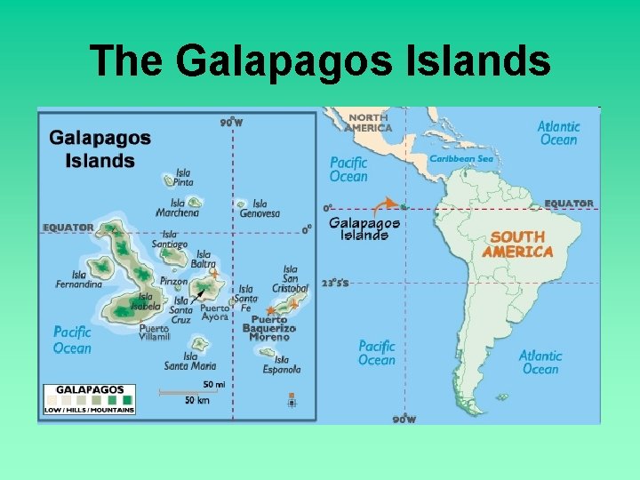 The Galapagos Islands 