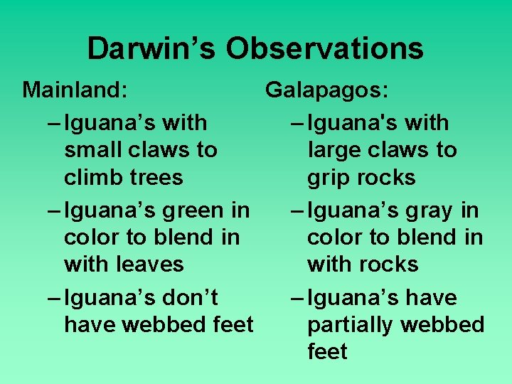 Darwin’s Observations Mainland: Galapagos: – Iguana’s with – Iguana's with small claws to large