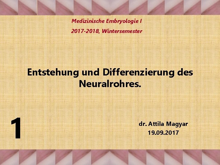 Medizinische Embryologie I 2017 -2018, Wintersemester Entstehung und Differenzierung des Neuralrohres. 1 dr. Attila