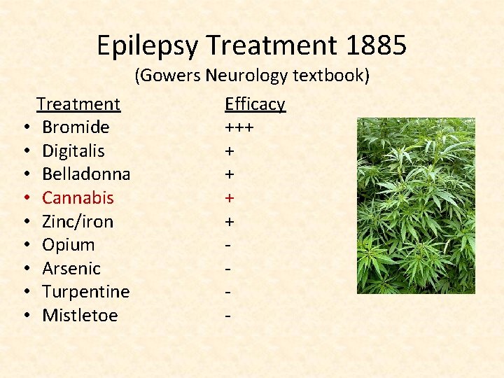 Epilepsy Treatment 1885 • • • (Gowers Neurology textbook) Treatment Efficacy Bromide +++ Digitalis