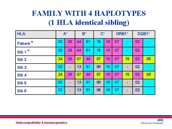 FAMILY WITH 4 HAPLOTYPES (1 HLA identical sibling) HLA: A* B* C* DRB 1*