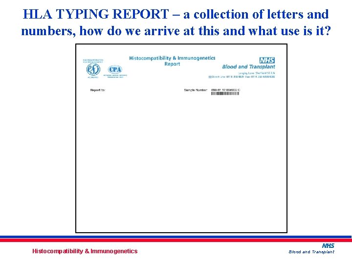 HLA TYPING REPORT – a collection of letters and numbers, how do we arrive