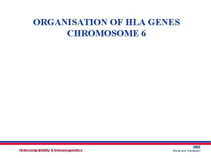 ORGANISATION OF HLA GENES CHROMOSOME 6 Histocompatibility & Immunogenetics Blood and Transplant 